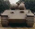 panther_138.jpg