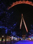 the_london_eye._189.jpg