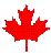 canada-leaf_195.gif