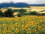 bizki_natural_park___lava__spain_166.jpg