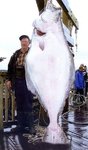 uncle_lou_and_halibut_172.jpg
