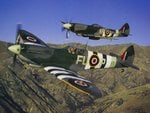 supermarine_spitfire_mkxvi_and_mkxiv_532.jpg