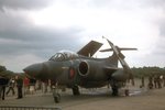 buccaneer_111.jpg