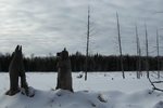 IMG_0658.JPG