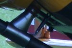 What is it.jpg