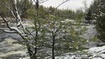 IMG_0349.jpg