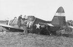 Republic P-47 Thunderbolt (Alemania) 004.jpg
