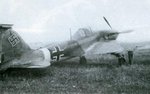 Ilyushin Il-2 Shturmovik (Alemania).jpg