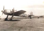 Focke Wulf Fw-190 (Estados Unidos) 004.jpg