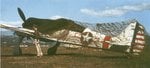 Focke Wulf Fw-190 (Estados Unidos) 006.jpg