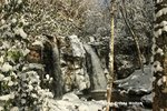 IMG_4912 Gentry Falls resized 25 legal.jpg