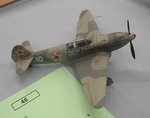 4_Yak 3_7668.JPG