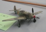 4_Yak 3_7669.JPG