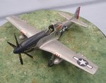 5_P-51D_7672.JPG