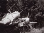 BF110.jpg