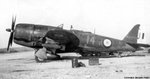 Republic P-47 Thunderbolt 0010.jpg