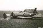 Republic P-47 Thunderbolt 0017.jpg