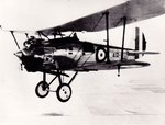 A12_1_Bristol_Bulldog_airborne.jpg