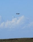 img6963y.jpg