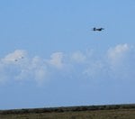 img6966mv.jpg