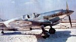 Curtiss XP-46 001.jpg