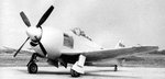 Curtiss YP-60.jpg