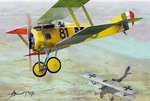 Hanriot HD-1 Vs Pfalz D-III.jpg