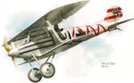 Pfalz D-III en picado.jpg