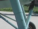 P1010018crop.jpg