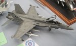 1_FA-18C_7837.JPG