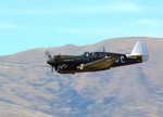 p40livefirepw5.jpg