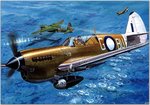 p40kittyhawk.jpg