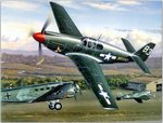 p51b_mustang.jpg