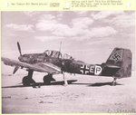 Junkers Ju-87 Stuka (Estados Unidos) 001.jpg