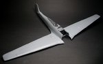 44_Wings on_0111.jpg