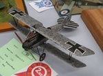 2_Albatros DV_7585.jpg