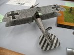 2_Albatros DV_7625.jpg