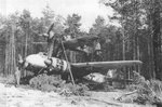 Focke WUlf Fw-190  Junkers Ju-88 (EEUU) 002.jpg