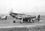 P-51-ho-r4.jpg