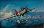 redtail2.jpg