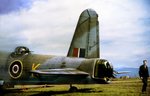Vickers Warwick (3).jpg