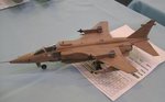 9_Jaguar_4696.JPG