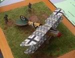 4_Albatros DV_7599.JPG