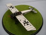 5_Pfalz E.1_7604.JPG
