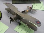 6_Swordfish_7609.JPG