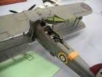 6_Swordfish_7613.JPG