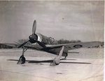 fw-190-raf.jpg