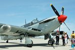 Firefly 8.jpg