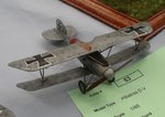8_Albatros DV_7602.JPG