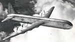 C1S19F2-a.jpg